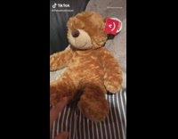 Guy regrets buying stuffed animal bears 