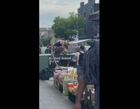 Guy in rat head costume squats next to fruits