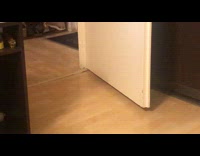 Grey cat runs out from behind door 