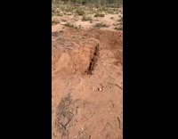 Collab BitchMP - Guy with shovel about to hit friend into hole 