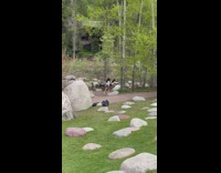 Two girls white sweater tiktok dance forest