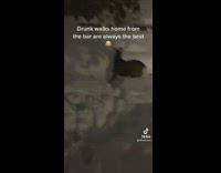 Guy tries to feed two deer in snow outside