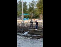 Mannequin catch shark for a video shoot part 1