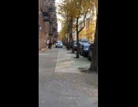 Filmer react to silver car drive on sidewalk