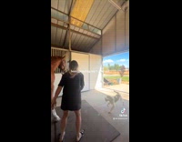 Collab Clips MPUGC - Woman desensitizing 5 year old horse 