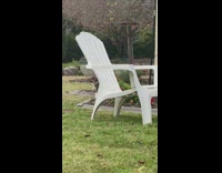 Brown puppy trips backyard blue shirt dad