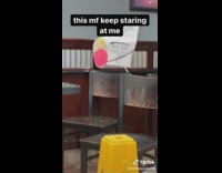 Spongebob doodlebob drawing staring at guy eating burger