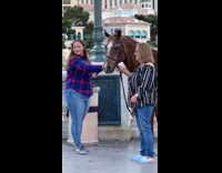 Two girls brown horse bellagio fountains 