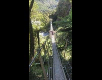 Woman one leg suspension bridge 
