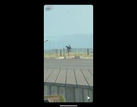 Collab WINY - Guy green parachute propellor flies car beach 