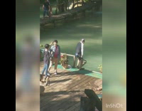 Two groups take photos by green lake 