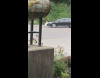 Mother daughter car hood photo shoot lot