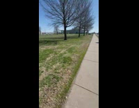 Collab BitchIG2 - Guy gets frisbee stuck in tree down