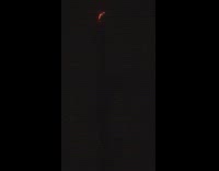 Top of the power pole on fire that caused blackout