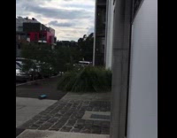 Kid push skateboard  jump on leaves pile