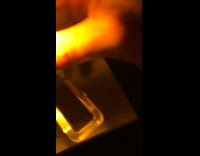 Person read book while dog chew toy