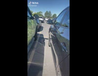 Two cars with similar window decals 