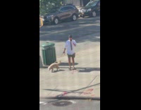Man wearing funny business casual clothes walking dog