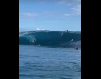Surfers go up big wave