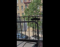 Plastic bag pull up going to another window at the building