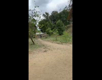 Woman thin red bikini bag park pictorial