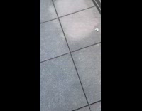 Guy finds shrimp on ground outside apartment 