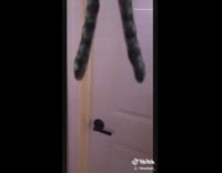 POV youre travis scott autotune stormi kylie 