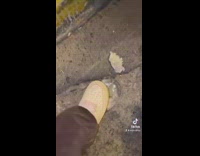 Two women find breast implant on side of street on floor 