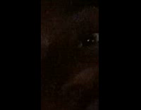 Girl sings guy in car night time 