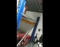 Cat climb liquor store shelves break some bottles