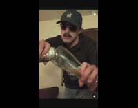 Guy chugs coors light beer 