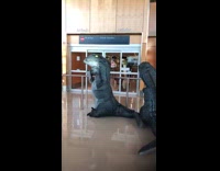 Collab Clips mpugc - dinosaur suit airport reunion