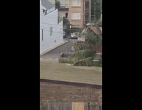 Woman takes picture in front of white wall