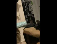 Woman counts her cats and one appears funny 