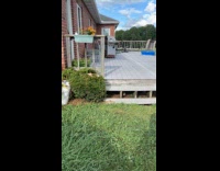 Collab Clips MPUGC - Puppy jumping into bush from porch