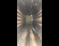 Frog falls down into rain gutter pipe woman laughs