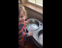 Little boy drinks from dog water bowl 