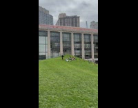 Woman in black does yoga on the grass