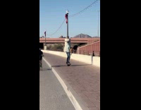 Guy carries dog rides onewheel on road