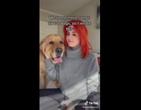 Woman writes song about her golden retriever dog 