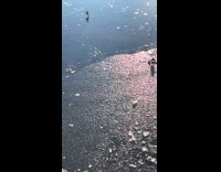 Sheet of ice dropped shattered slow motion