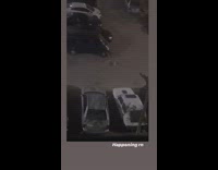 Small white dog runs away parking lot