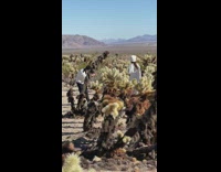 Woman in white outfit poses at the National Park
