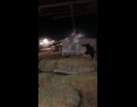 Dad helps mom on rope swing fail 