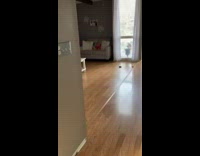 Woman wearing mud mask spooks dog who slips and hides under sofa