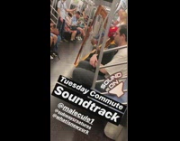 Man red hat plays wooden harp on subway train