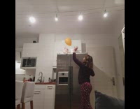 White cat passes orange balloon refrigerator girl