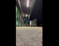 Horse walks over with owner prancing 