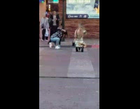 Gold dress casino road