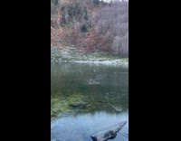Submitter throws ice into frozen lake